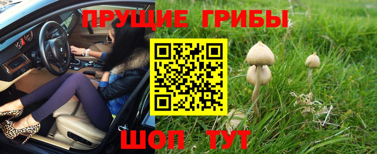 Кувандык  наркотики  Вход с VPN  Галлюциногенные грибы Psilocybe 