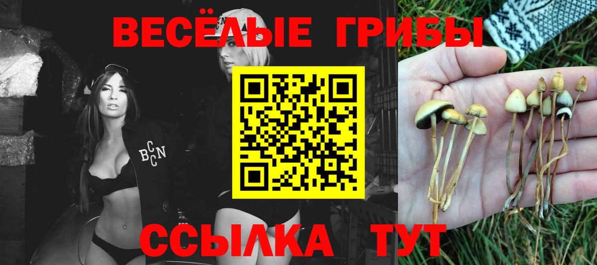 Псилоцибиновые грибы мицелий Кувандык